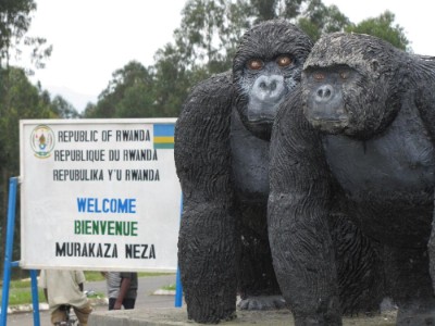 de gorilla's heten ons welkom